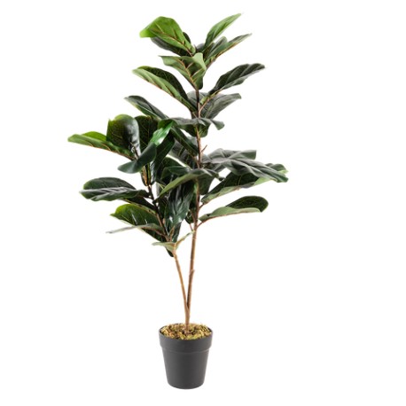 Planta artificial Pandurata