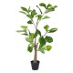 Planta artificial Cyrata