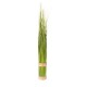 Grass 64 cm
